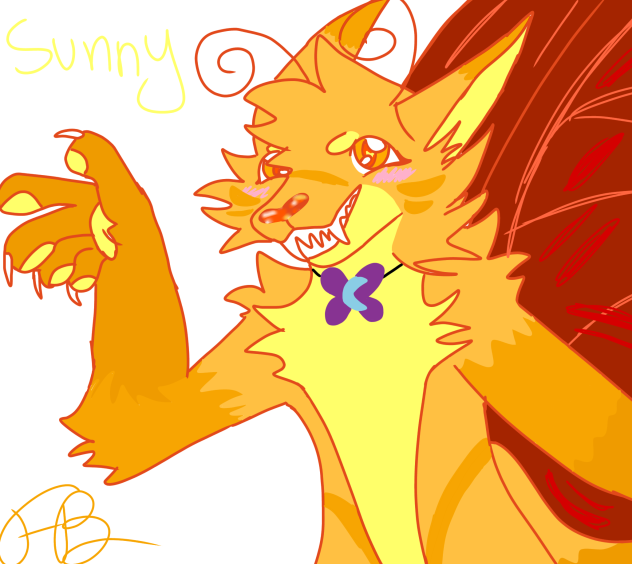 sunny the butterfly cat
