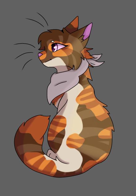 Warrior cat OC #2