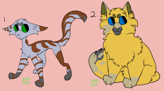 FB Adopt 3+4