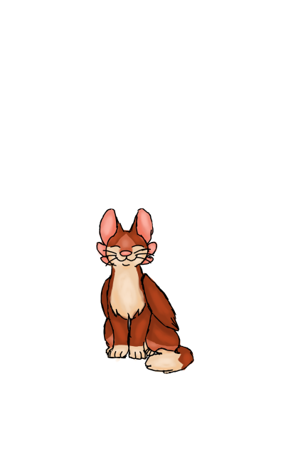 Amarus