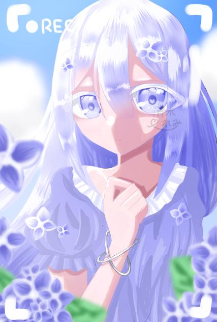 あじさい
