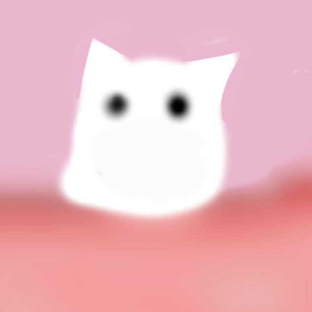 baby cat