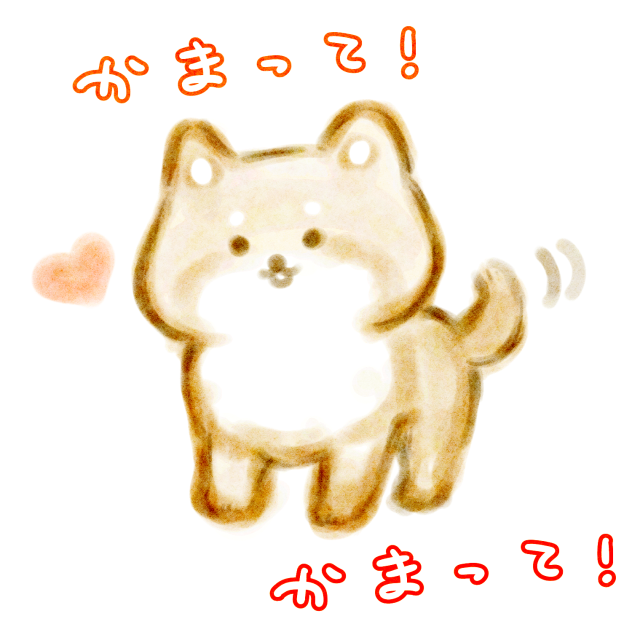かまって欲しい柴犬。