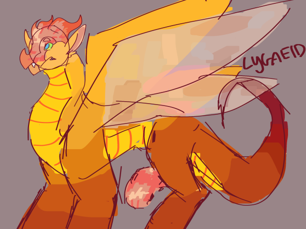 Lygaeid Sketch (speedpaint)