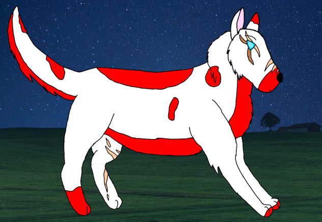 Wolf - ibisPaint