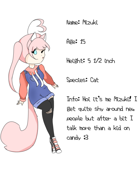 Mizuki Info Page