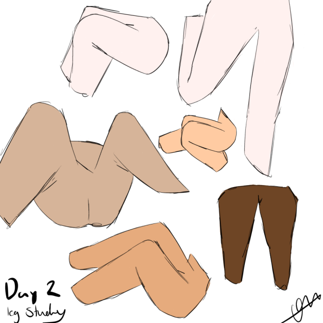 Leg study