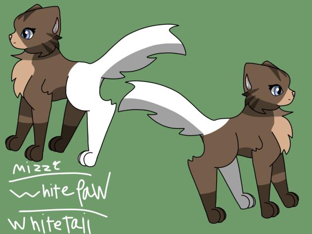 Warrior cats, Missy, WhitePaw, WhiteTail