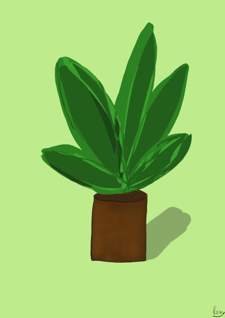 Random plant cause yaa 🤘🏻🪴🪴