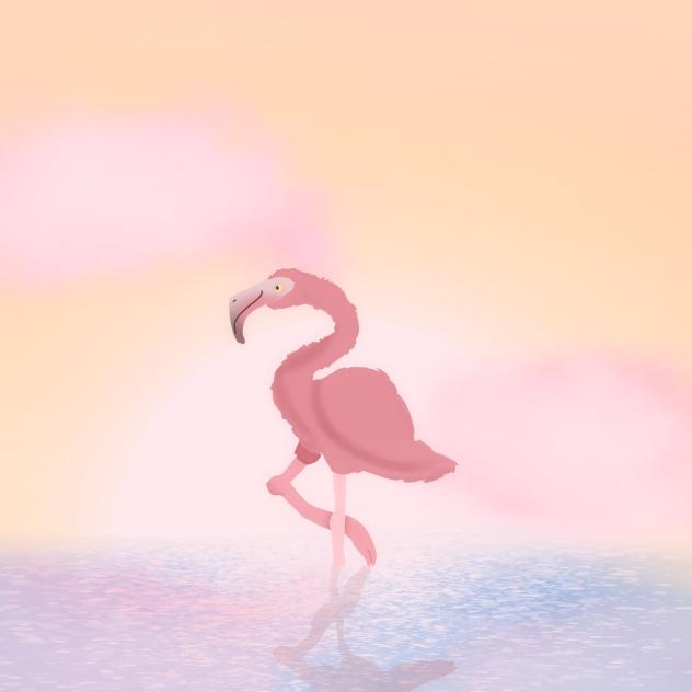 🦩Flamingo🦩