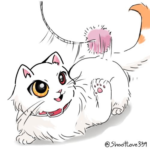 #OC ถ้าน้องๆเป็นแง้ว น้องซน😸