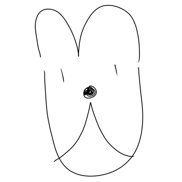 丸みを帯びたU字の水槽　伝説の絵描き歌☆(うさぎ)