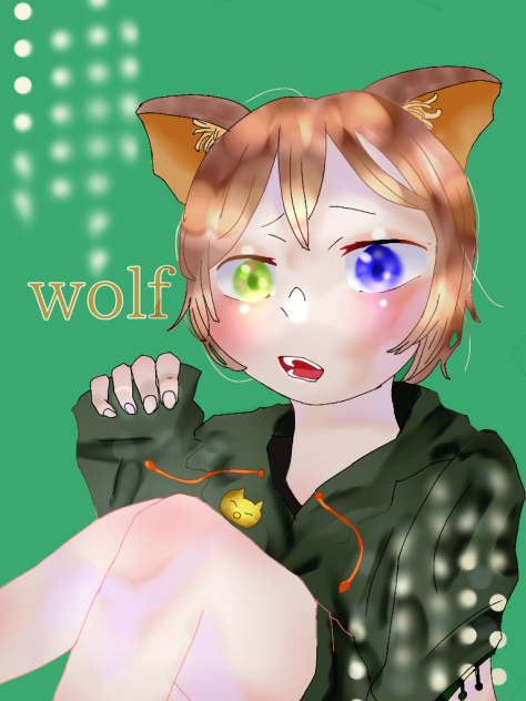 企画🐺