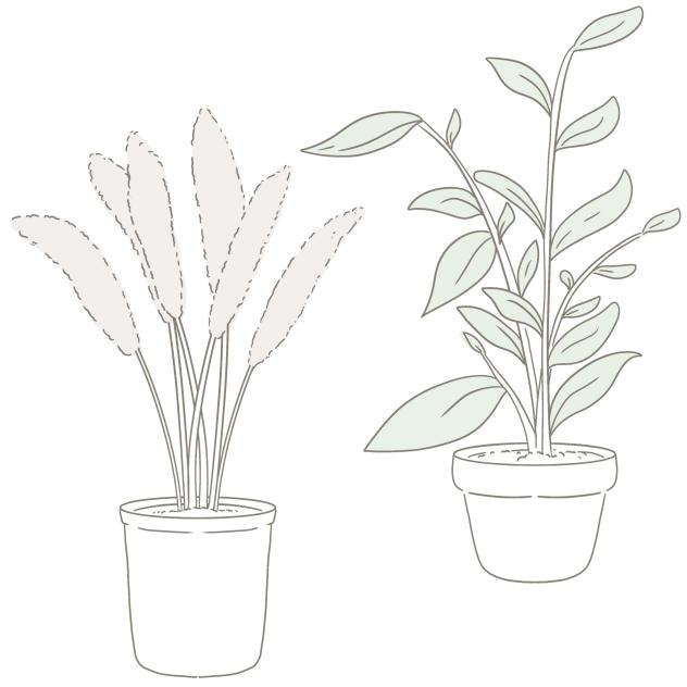 Tall Indoor Plant I