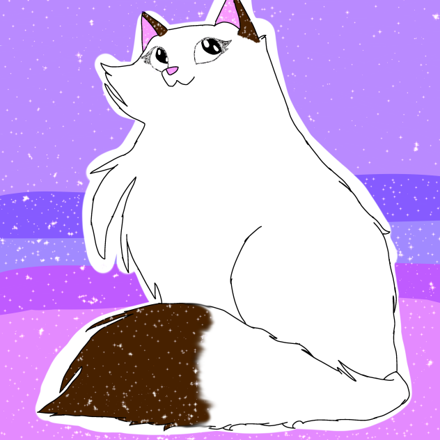 Kahve the cat 🐱