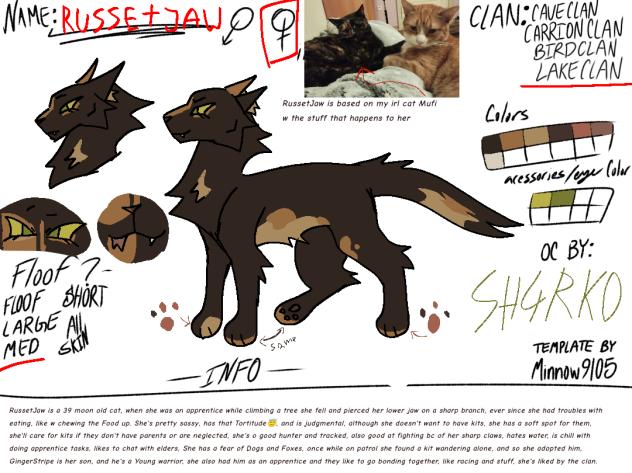 Wcstories w one of my cats