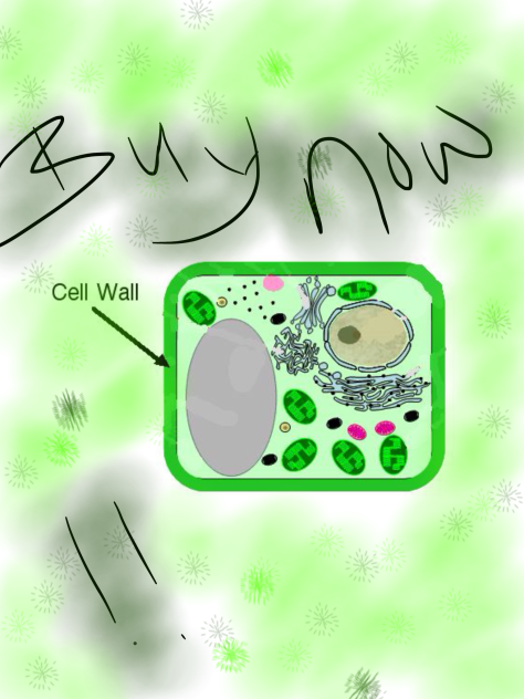 Science Project. Let's sell cells!