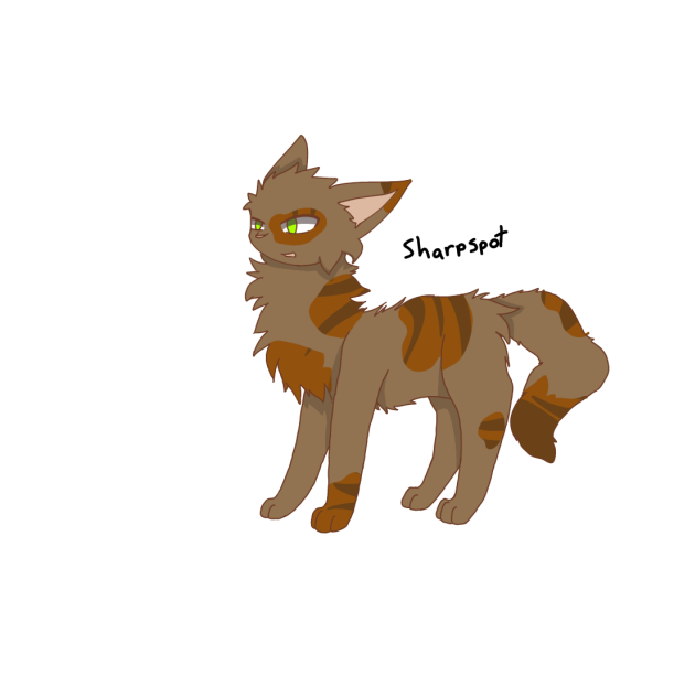 Sharpspot warrior cat OC