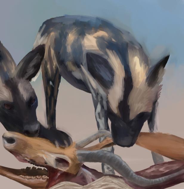 wolves