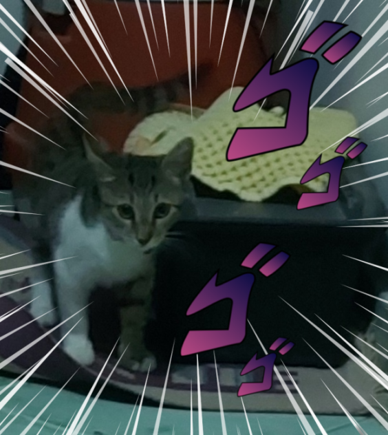 You dare approach me