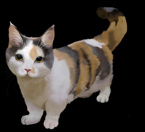 It’s a Cat