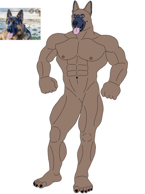 Furry realist german shepherd
