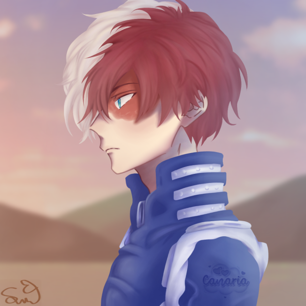Shoto Todoroki