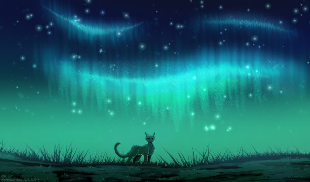 Northern lights