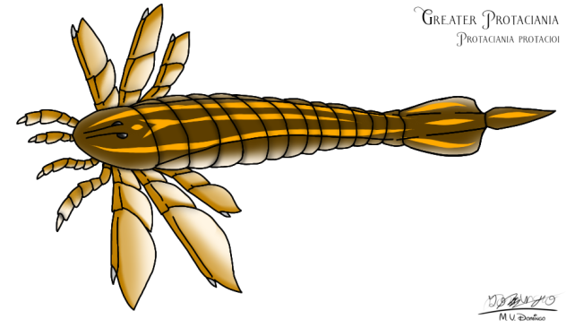 Greater Protaciania