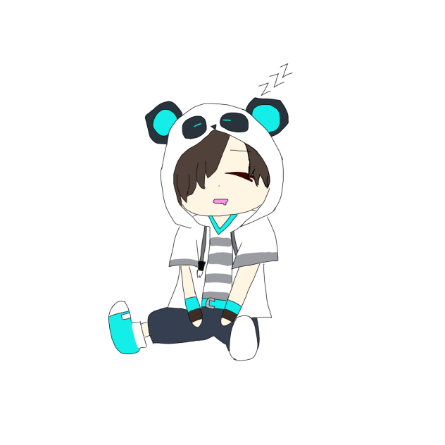 🐼💤