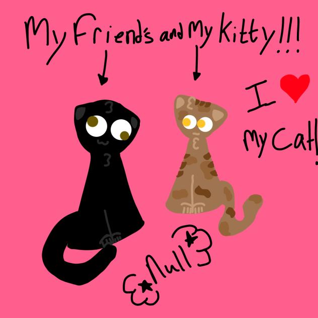 My friend’s and my kitties!!!