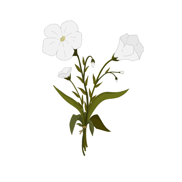 White Flowers