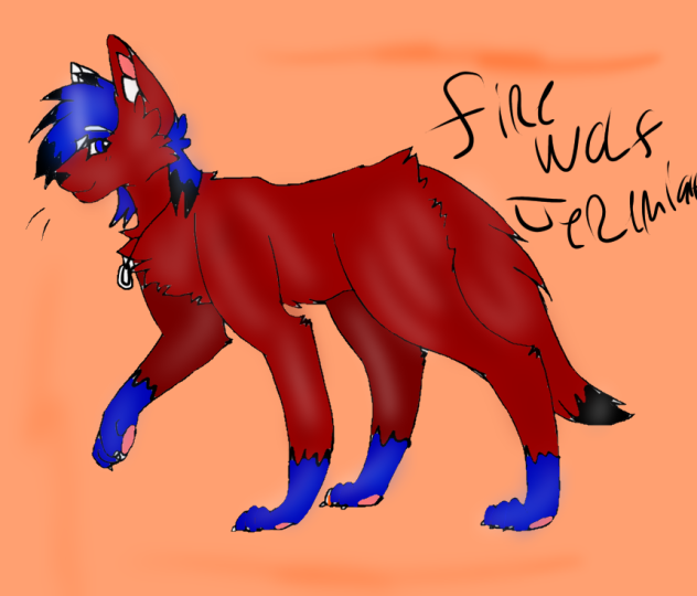 My new wolf oc