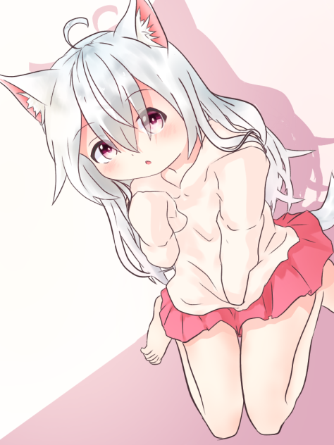 うちの猫耳っ娘