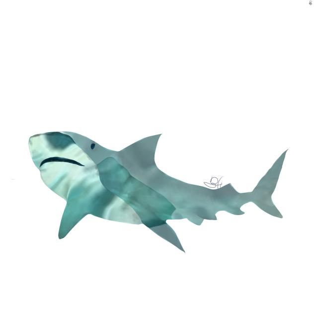 Shark