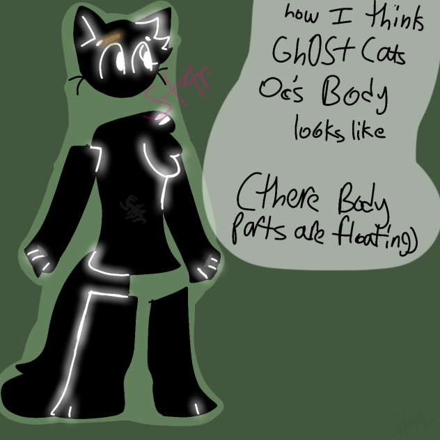 Gh0st Cats oc bcs it's cool