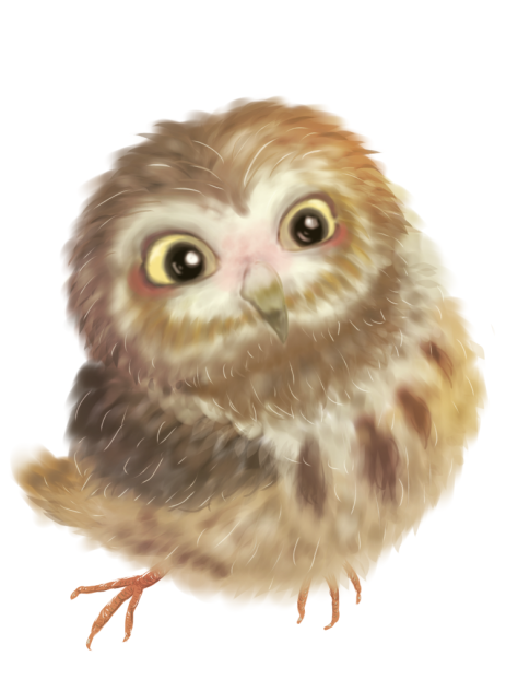 ふくろう