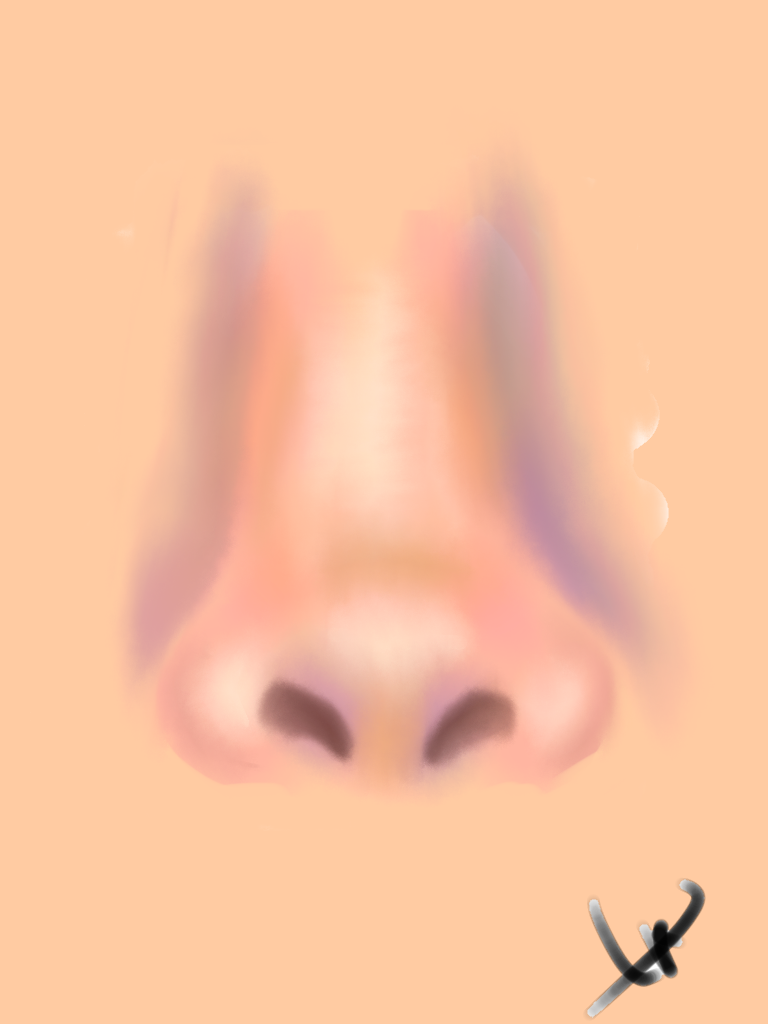 First nose ibisPaint