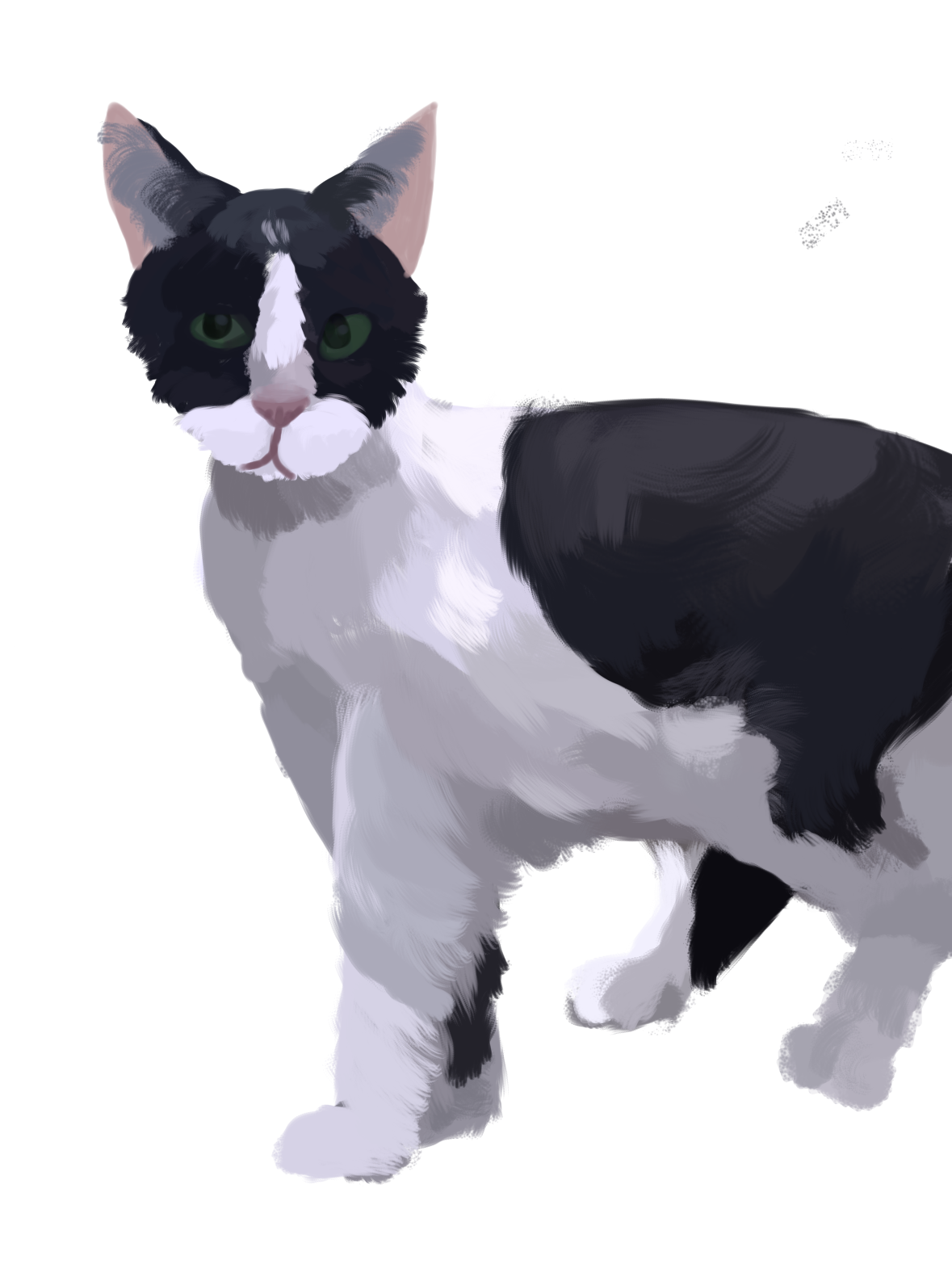Cat - ibisPaint