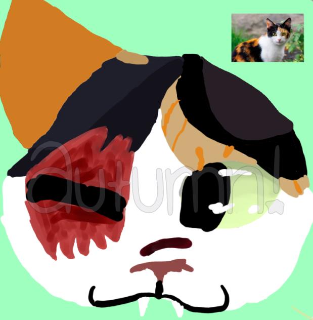 Mask ideas for my irl bestie remake