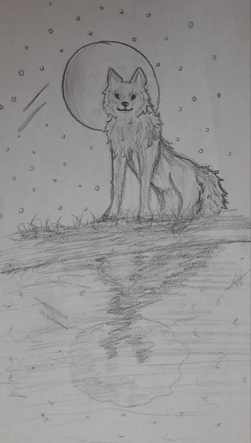 Wolf in the night
