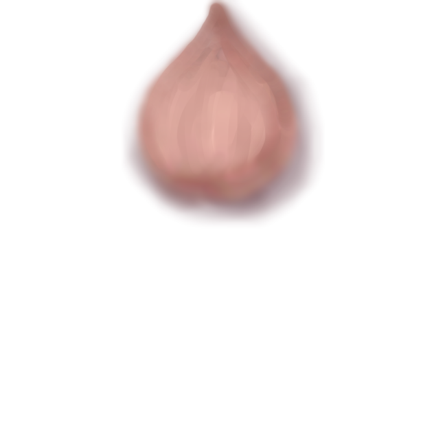 Onion~