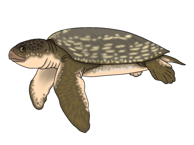 Archelon ischyros - Revampization3