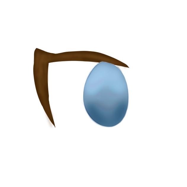 eye