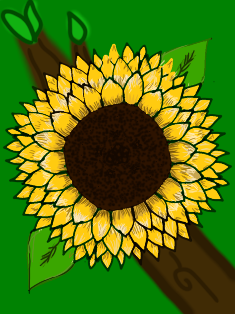 sunflower - ibisPaint