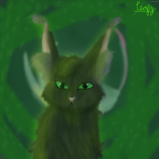 Hollyleaf