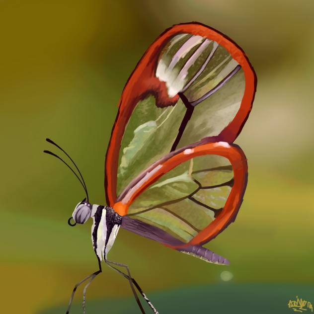 greta oto butterfly