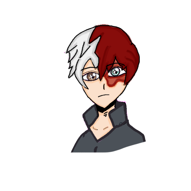 Todoroki ibisPaint