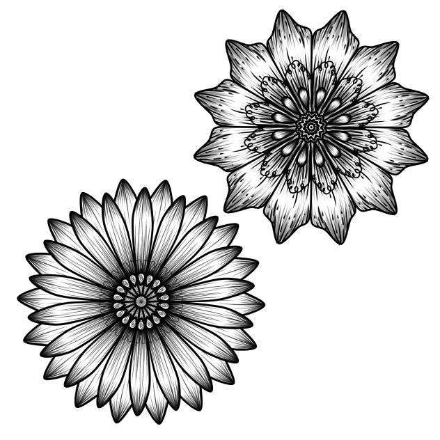 Flowers ♡