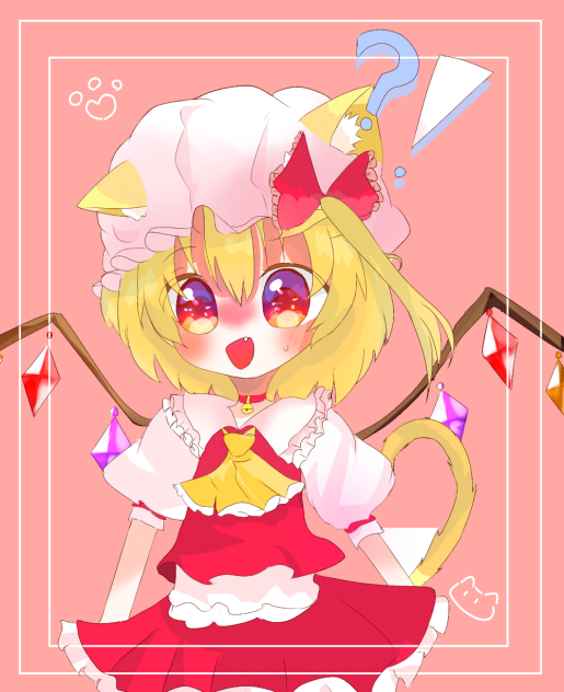猫フラ！！！